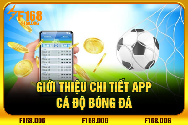 Giới thiệu chi tiết app cá độ bóng đá