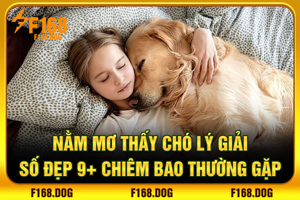 Nằm Mơ Thấy Chó - Lý Giải Số Đẹp 9+ Chiêm Bao Thường Gặp