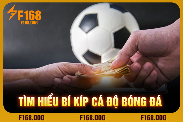 Tìm hiểu bí kíp cá độ bóng đá